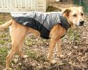 Helios Altitude-Mountaineer Wrap-Velcro Protective Waterproof Dog Coat w/ Blackshark technology